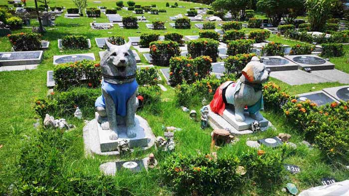 Захоронения домашних животных (собаки, кошкам) Pet burials (dogs, cats)